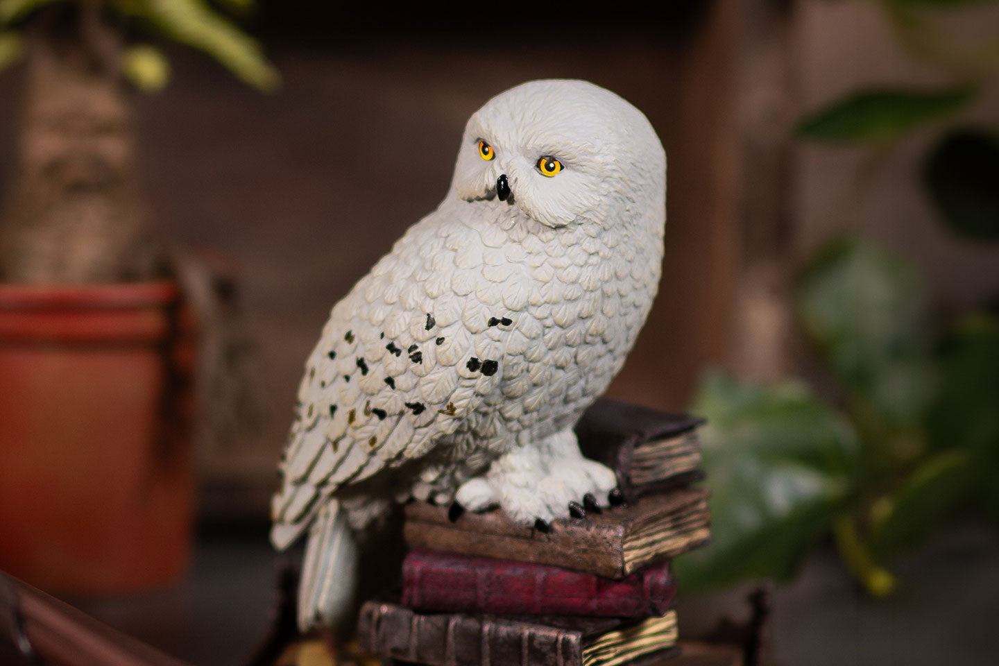 Weiße Schneeeule sitzt auf einem Stapel alter Bücher in einer gemütlich-dunklen Umgebung.