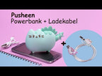 product-video-E1053528-1