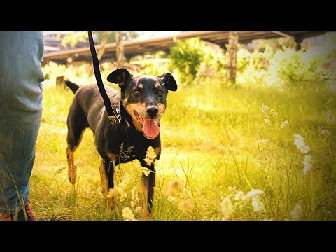 product-video-E1063098-1