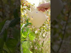 product-video-E1077769-1