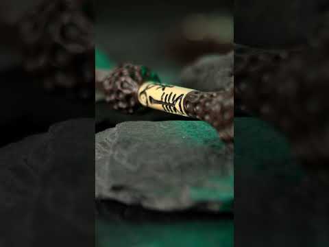 product-video-E1000659-1