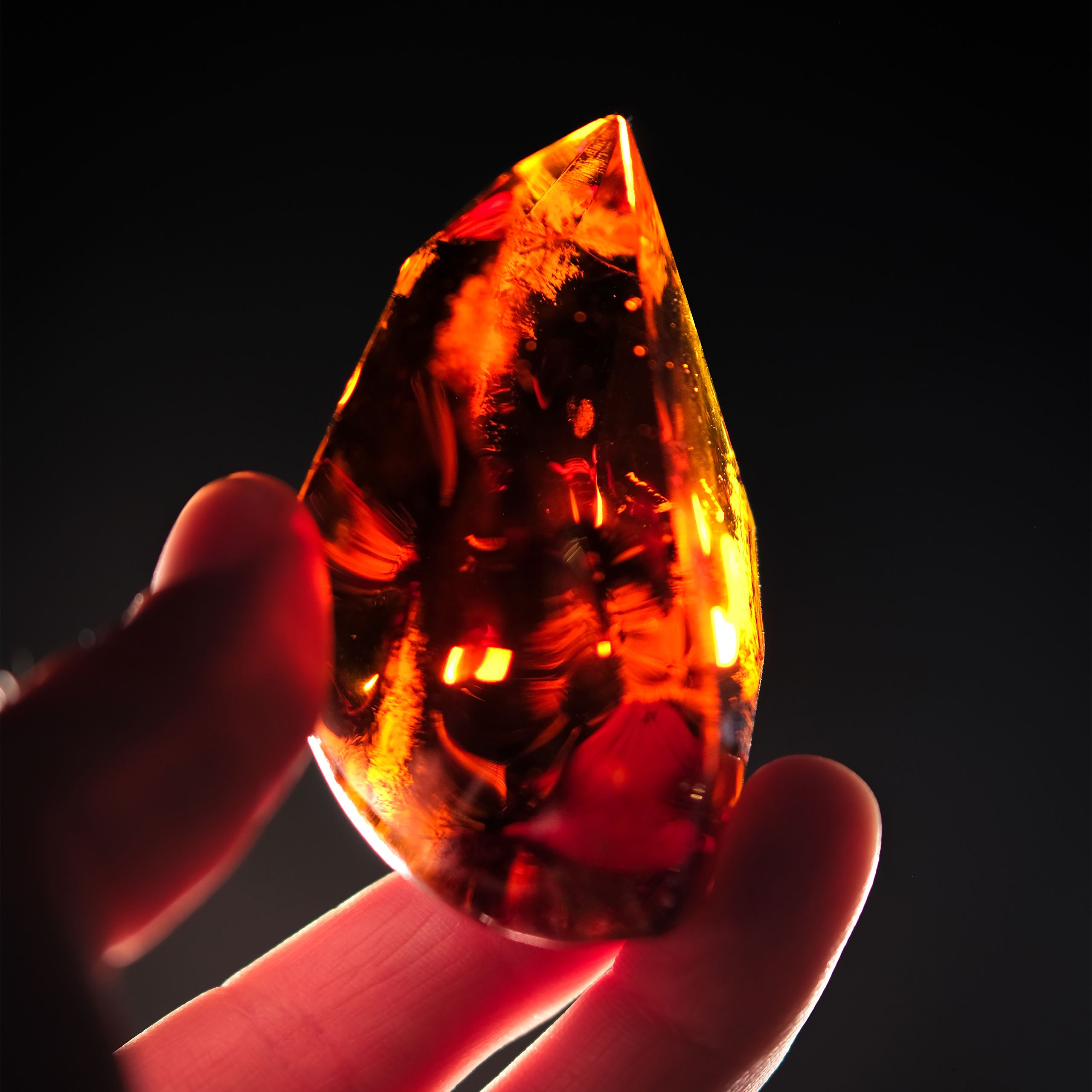 Imagen del producto La Piedra Filosofal