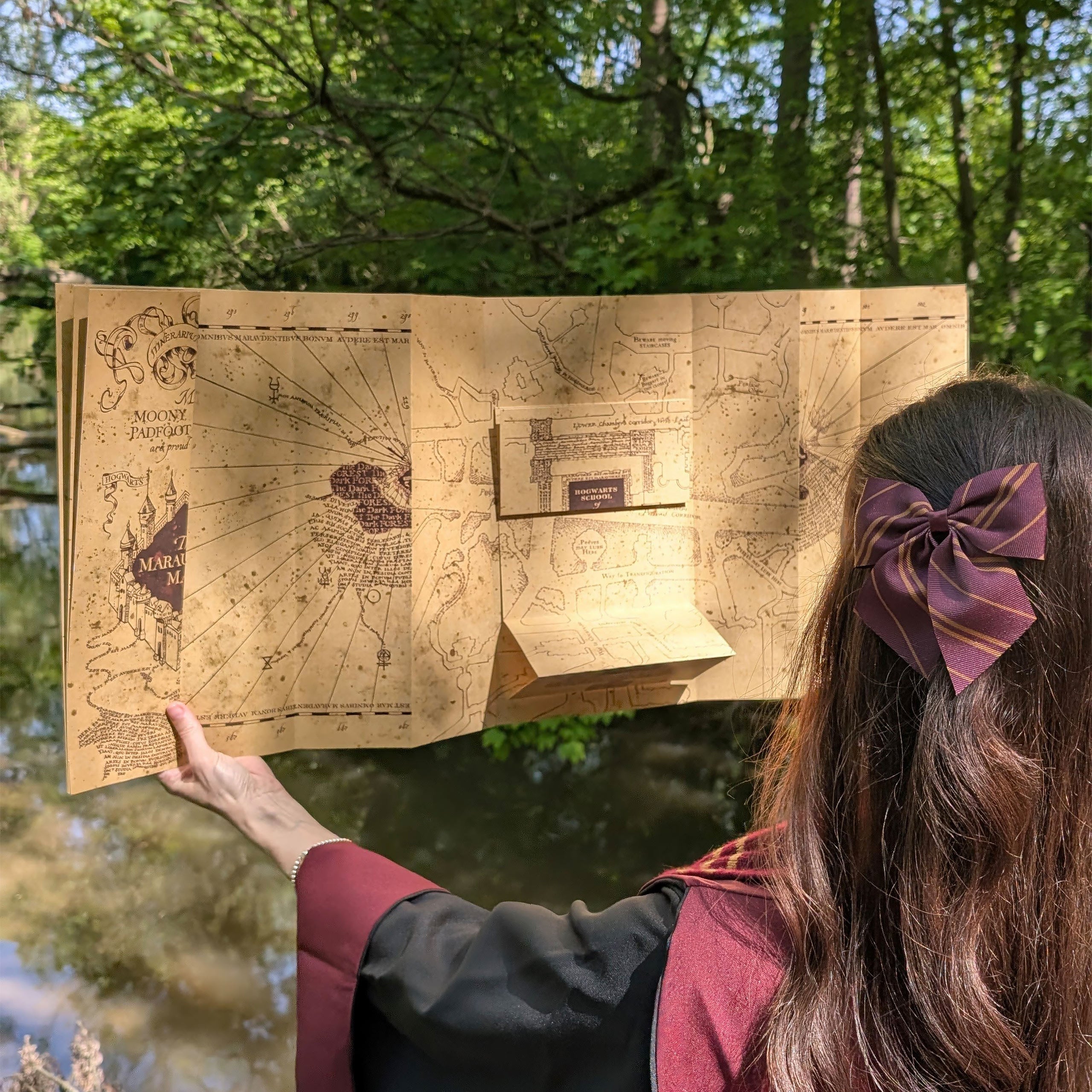 Imagen del producto El Mapa del Merodeador