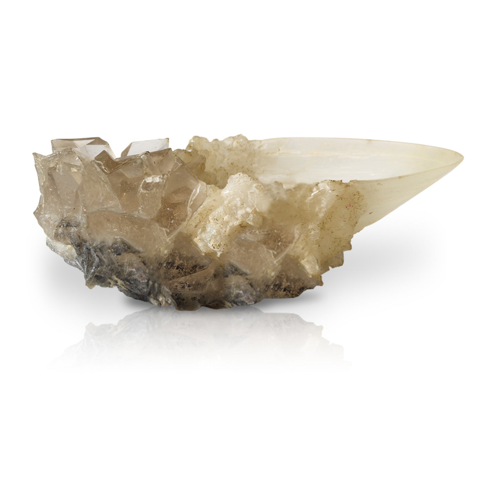 Imagen del producto La Copa de Cristal