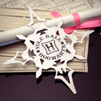 Imagen del producto Caja de Artefactos de Hermione Granger
