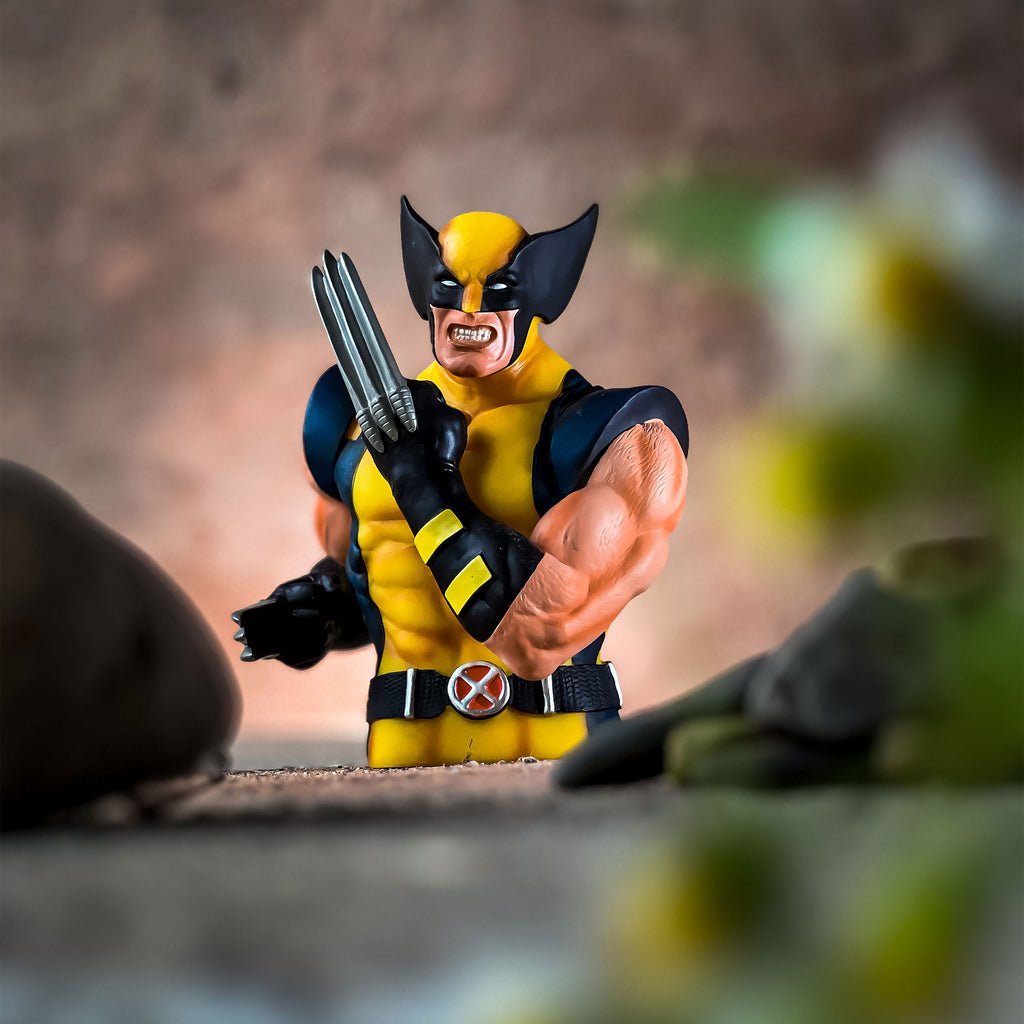 Imagen del producto Hucha Wolverine
