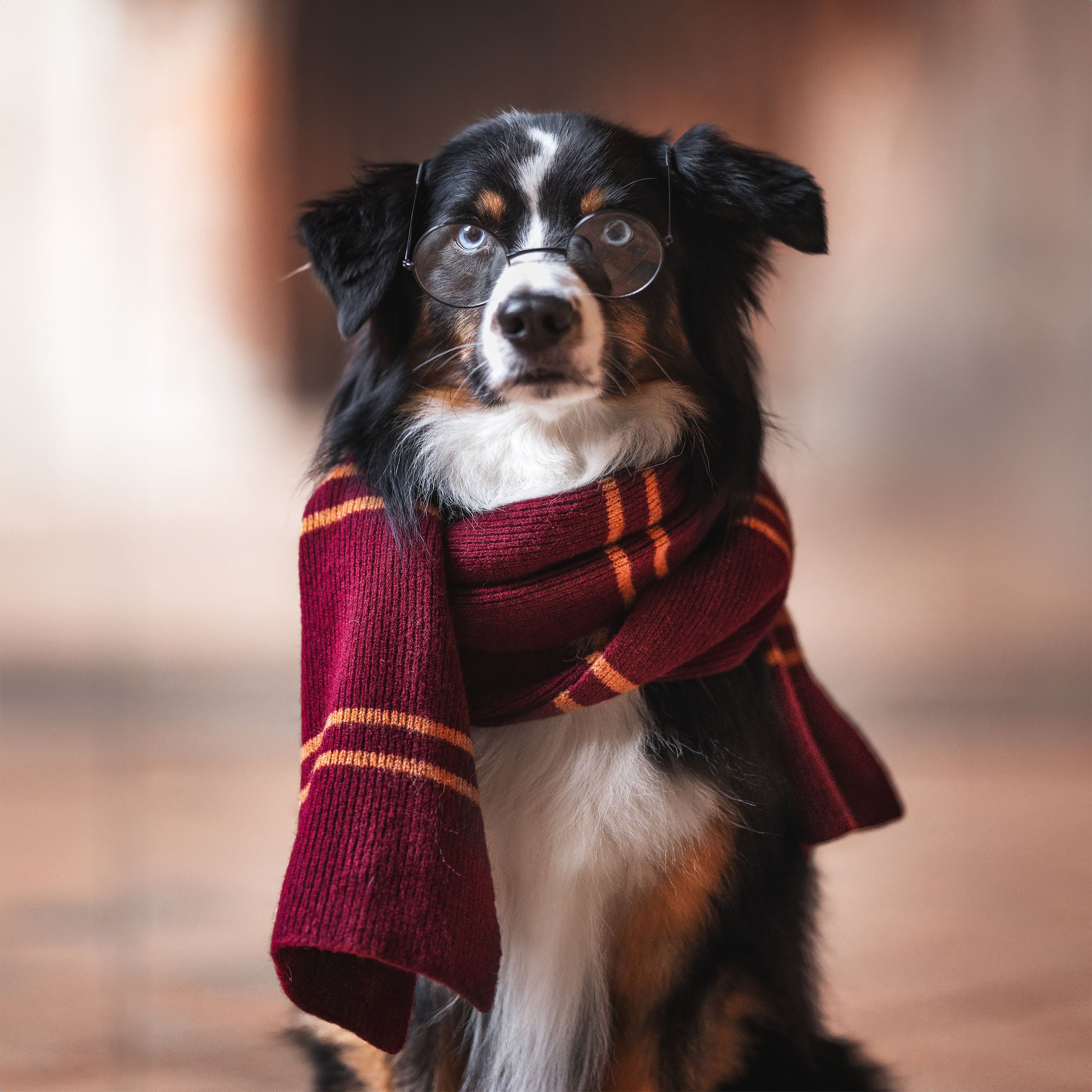 Imagen del producto Harry Potter - Bufanda de lana Gryffindor original
