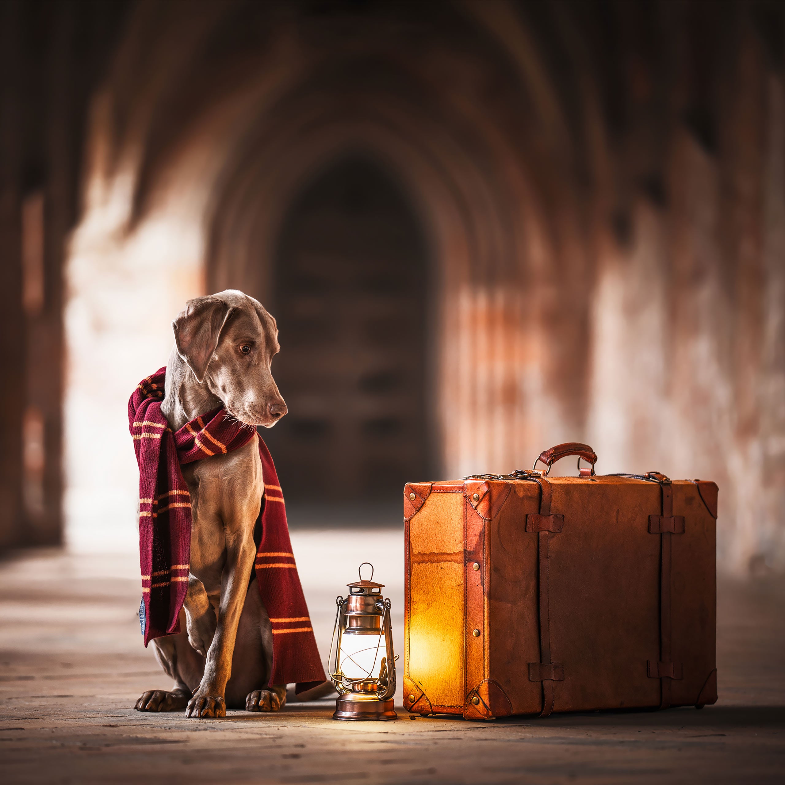 Imagen del producto Harry Potter - Bufanda de lana Gryffindor original