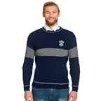 Imagen del producto Harry Potter - Suéter de Quidditch Ravenclaw