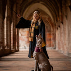 Imagen del producto Harry Potter - Bufanda de lana original de Hufflepuff