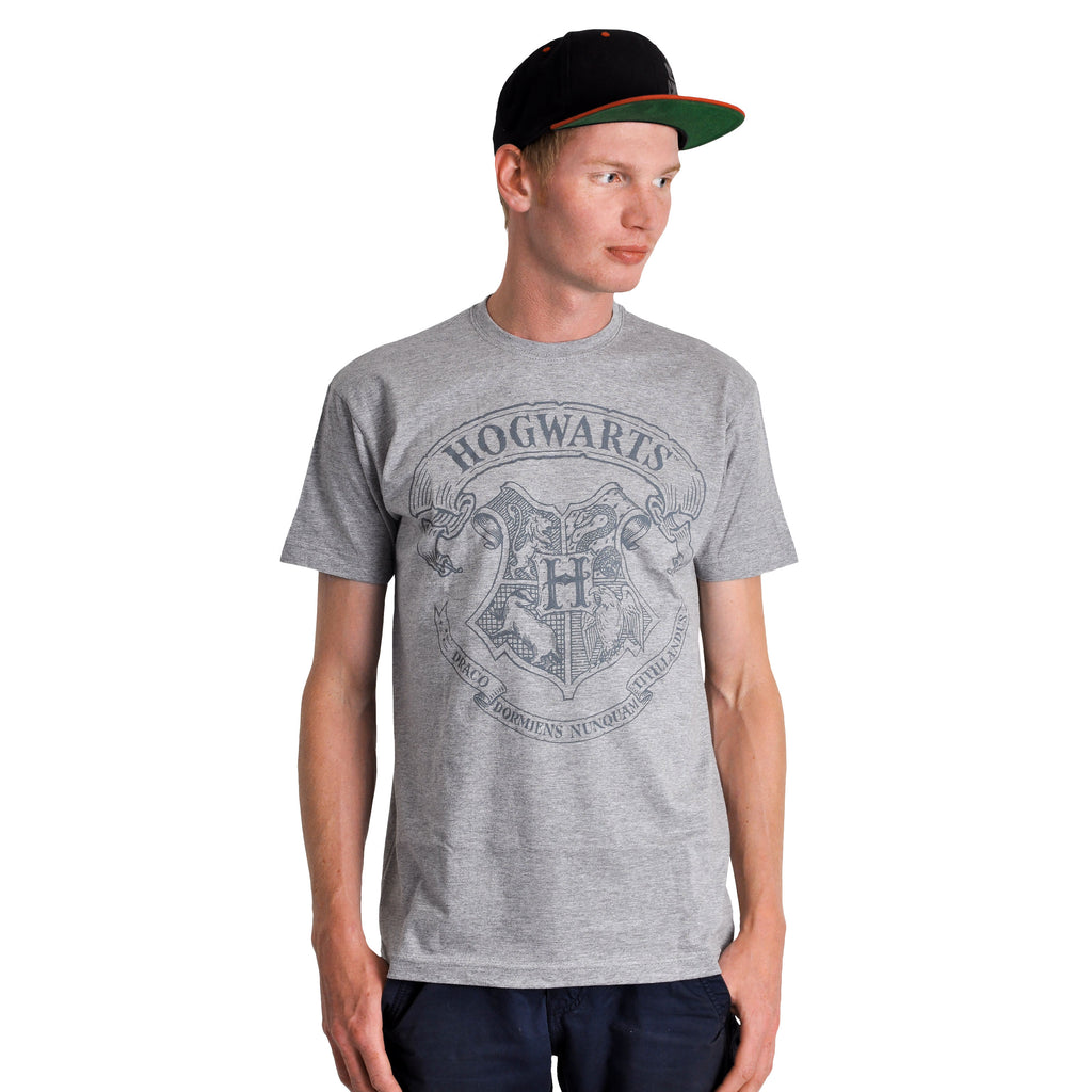 Imagen del producto Harry Potter - Camiseta con logo gris