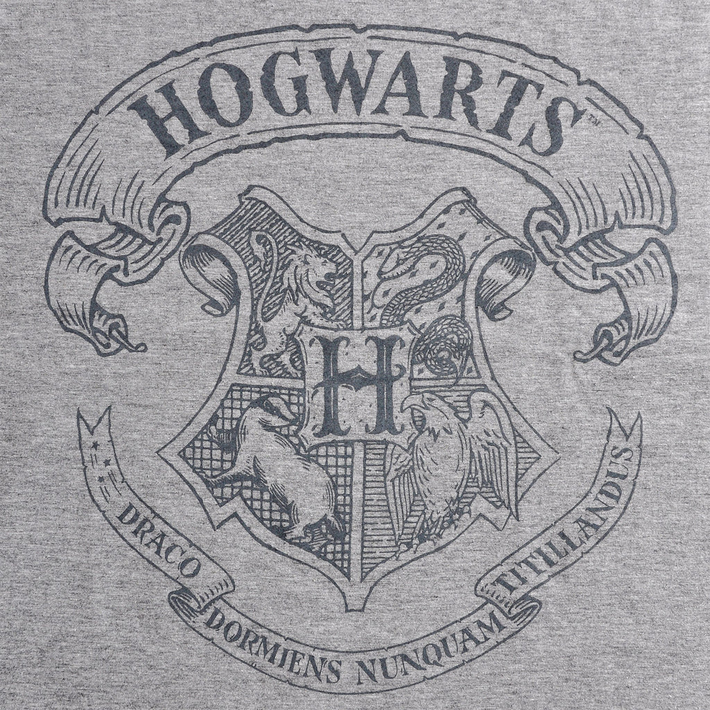 Imagen del producto Harry Potter - Camiseta con logo gris