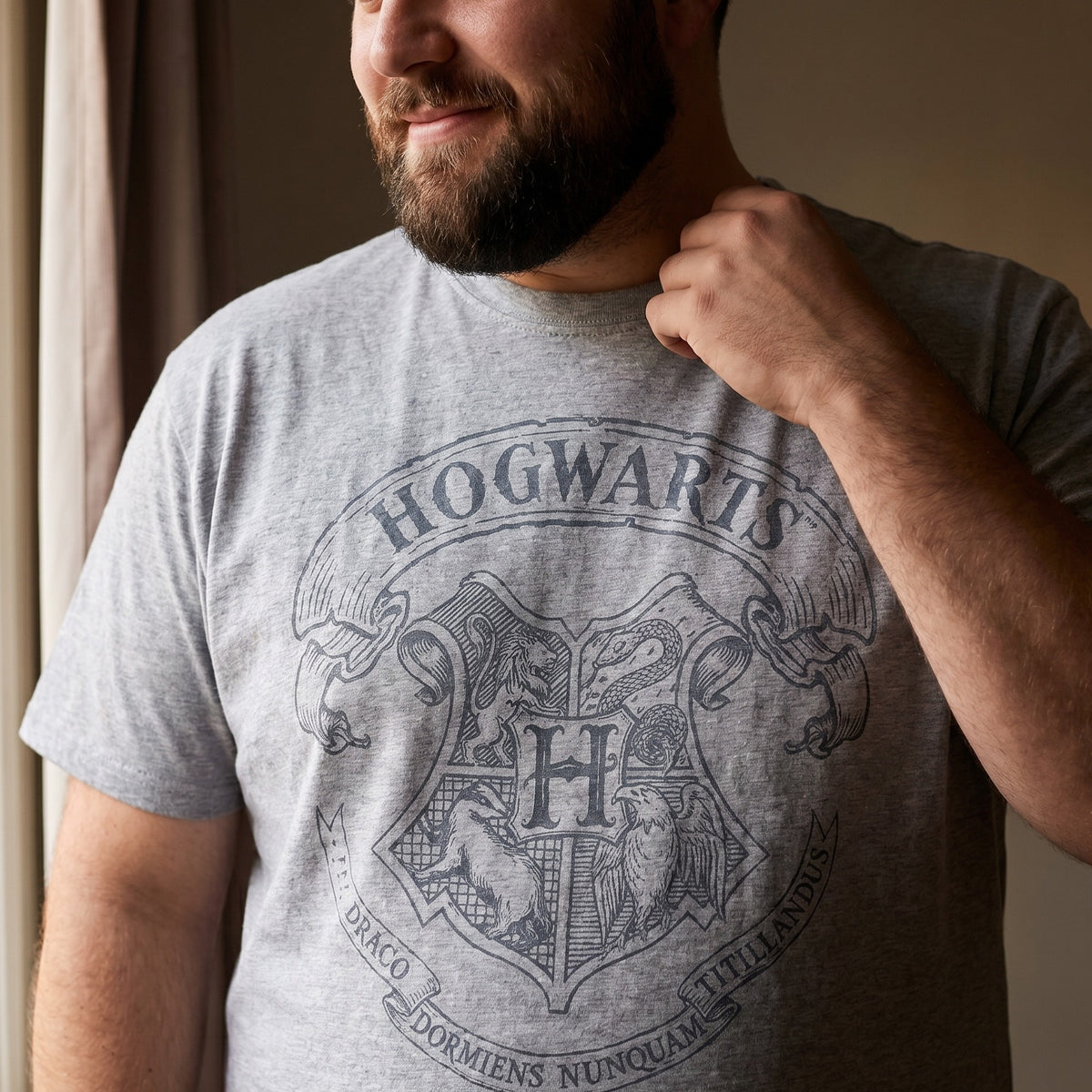 Imagen del producto Harry Potter - Camiseta con logo gris