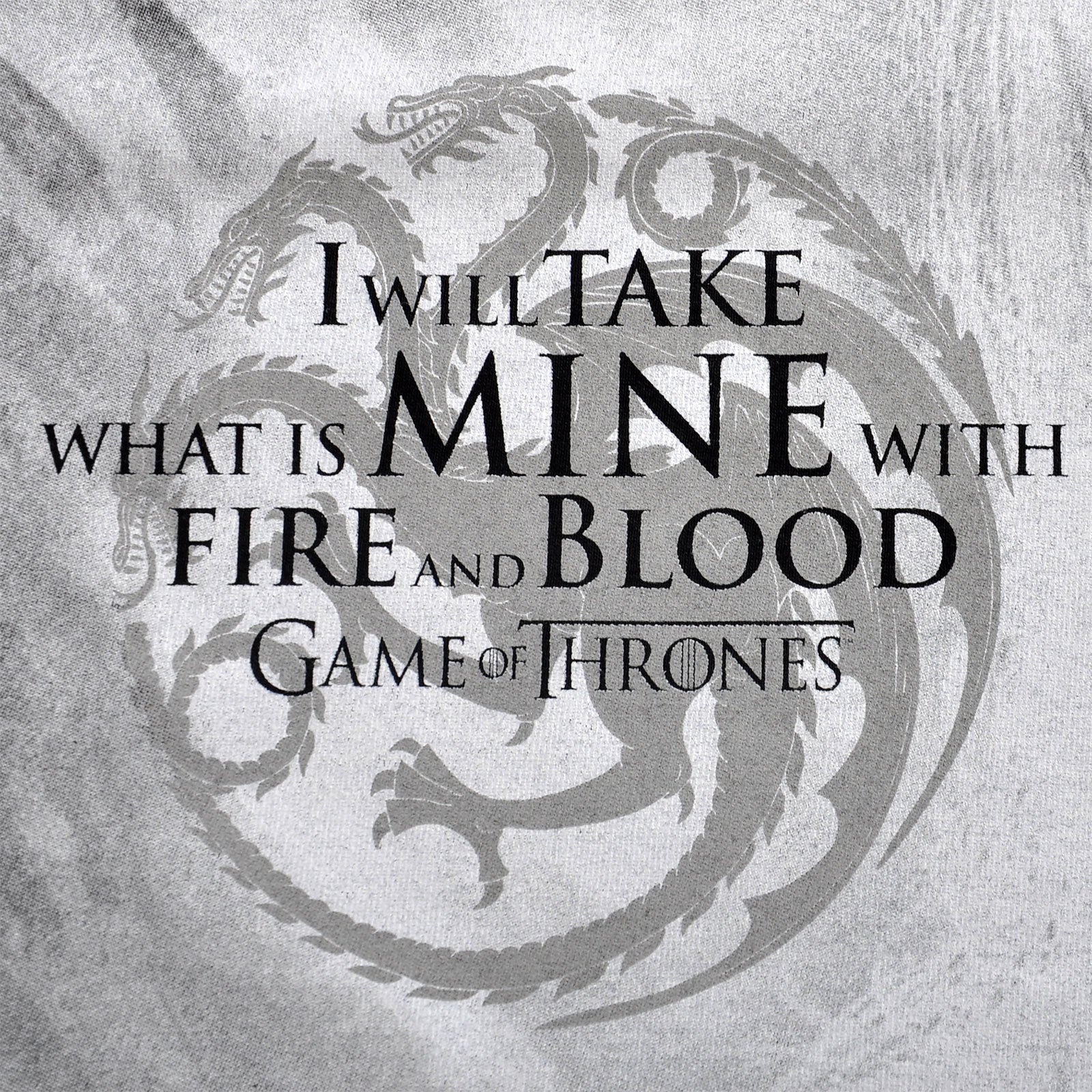 Imagen del producto Juego de Tronos - Daenerys Fire and Blood Camiseta