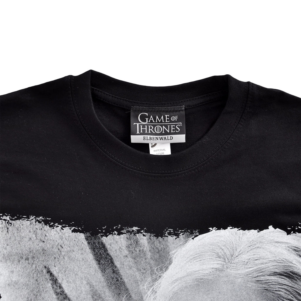 Imagen del producto Juego de Tronos - Daenerys Fire and Blood Camiseta