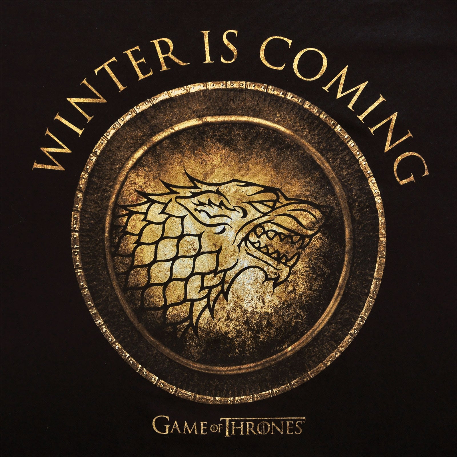 Imagen del producto Juego de Tronos - Camiseta Circular de la Casa Stark