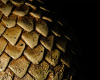 Imagen del producto Game of Thrones - Huevo de dragón de Viserion