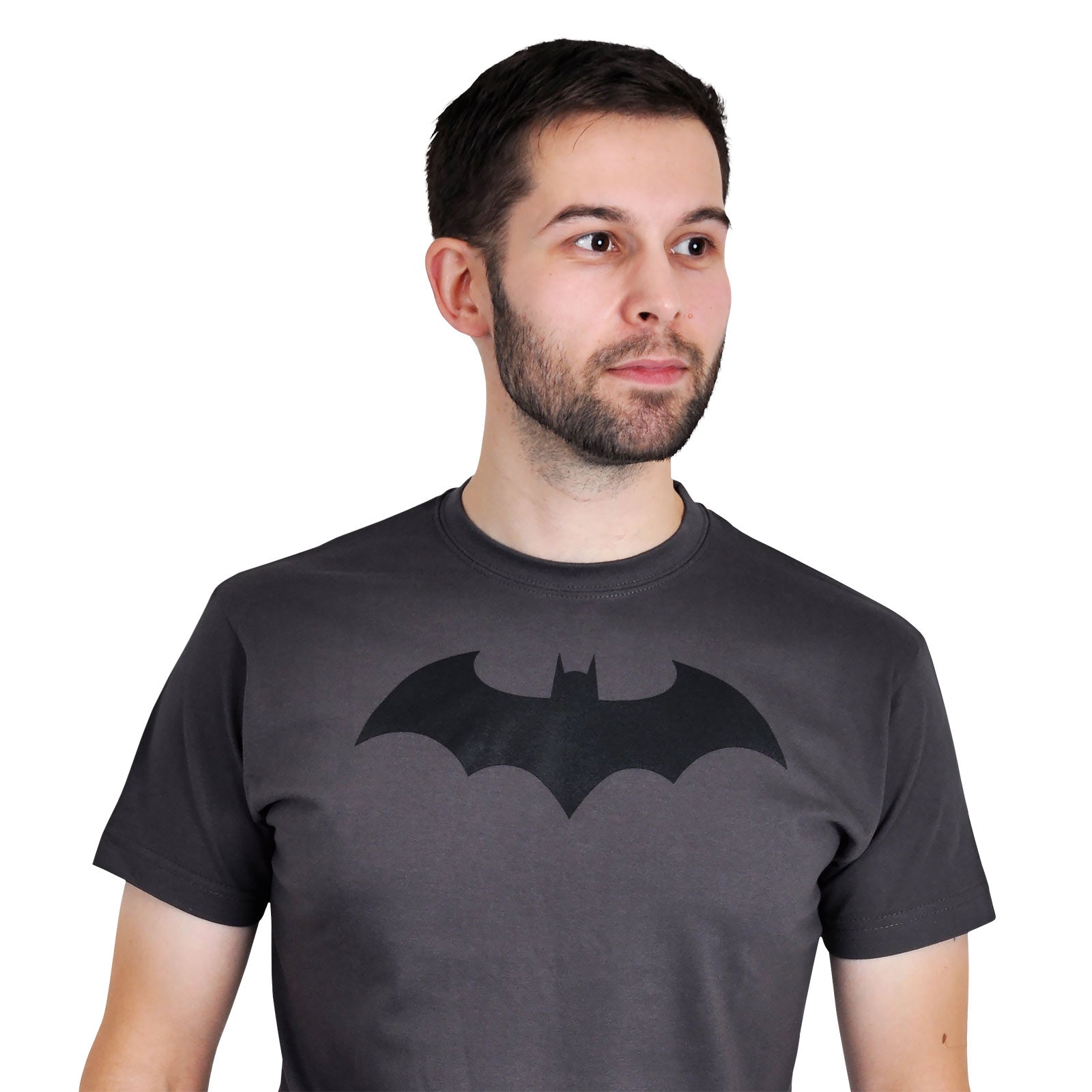 Imagen del producto Batman - Camiseta Bat Logo gris