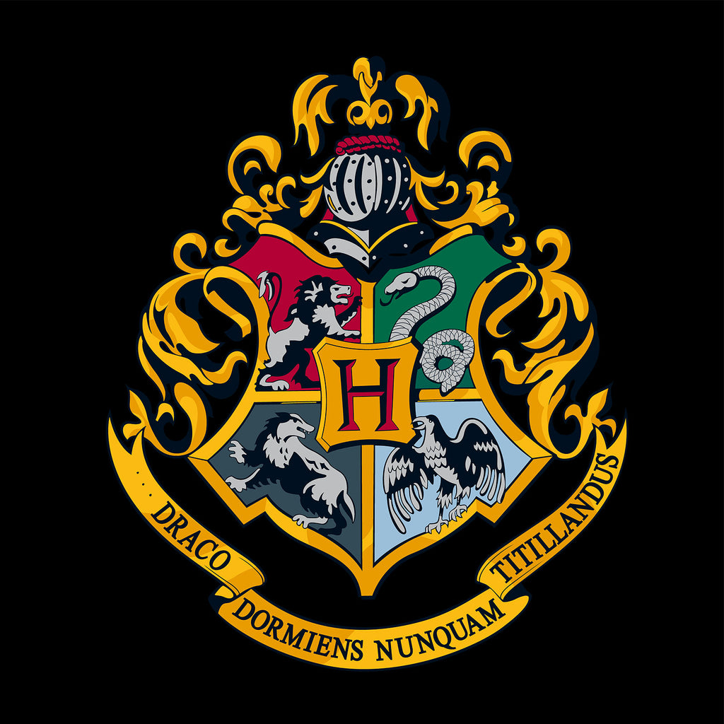 Imagen del producto Harry Potter - Sudadera con capucha de Hogwarts negra