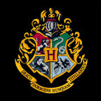 Imagen del producto Harry Potter - Sudadera con capucha de Hogwarts negra
