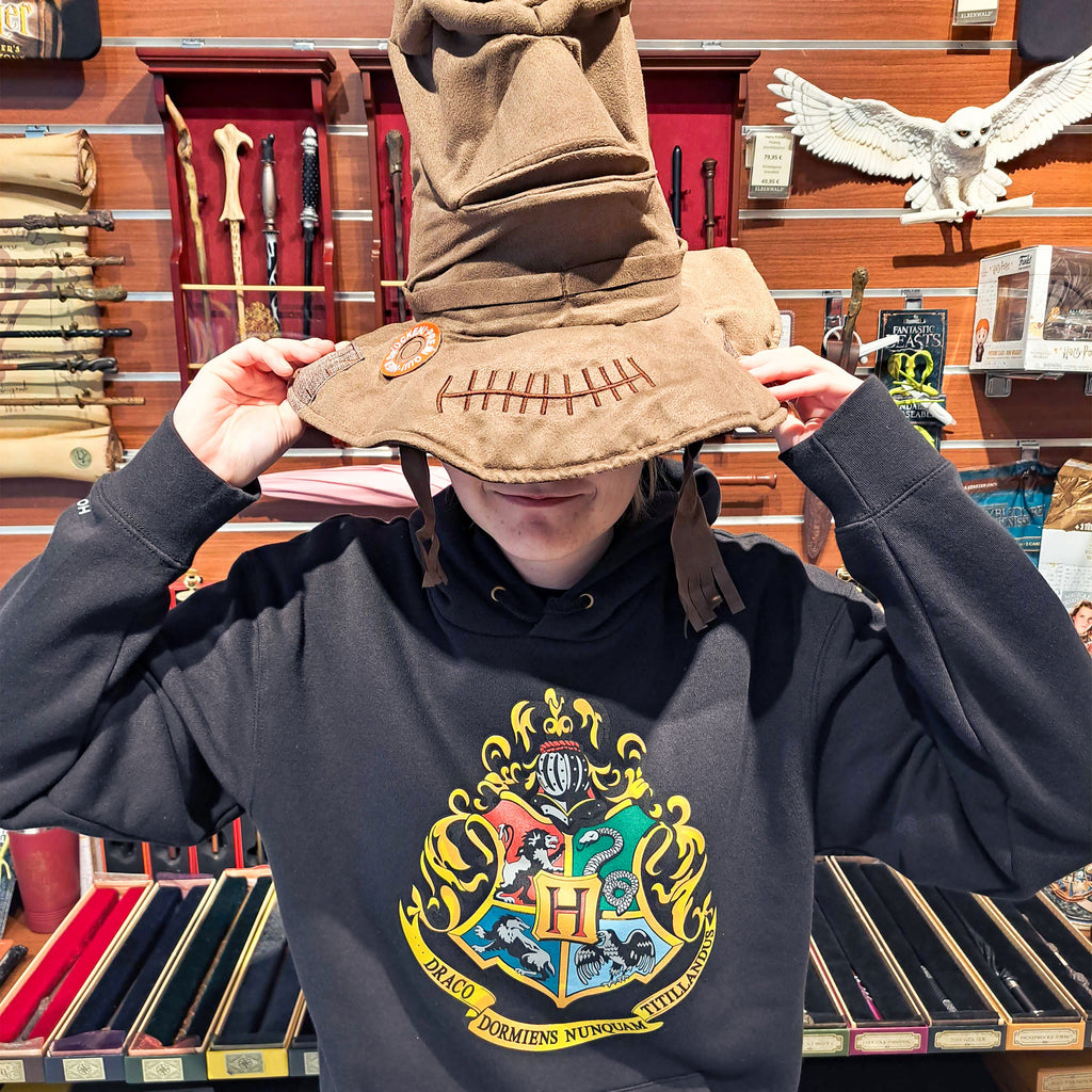 Imagen del producto Harry Potter - Sudadera con capucha de Hogwarts negra