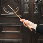 Imagen del producto Varita de Newt Scamander en blister - Animales fantásticos