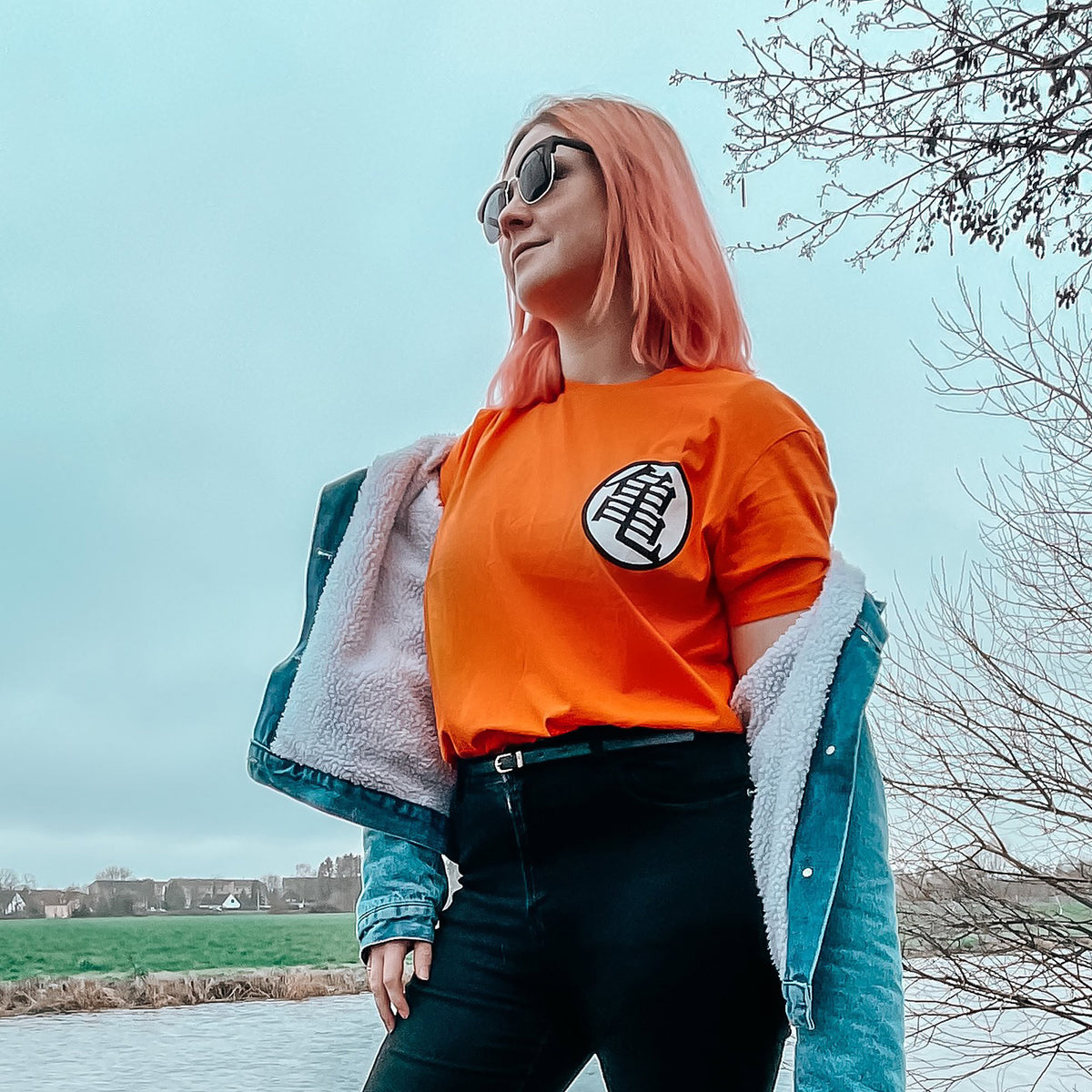 Imagen del producto Dragon Ball - Kaio Distressed Camiseta naranja