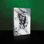 Imagen del producto Star Wars - Cuadro de pared con luz de Stormtrooper