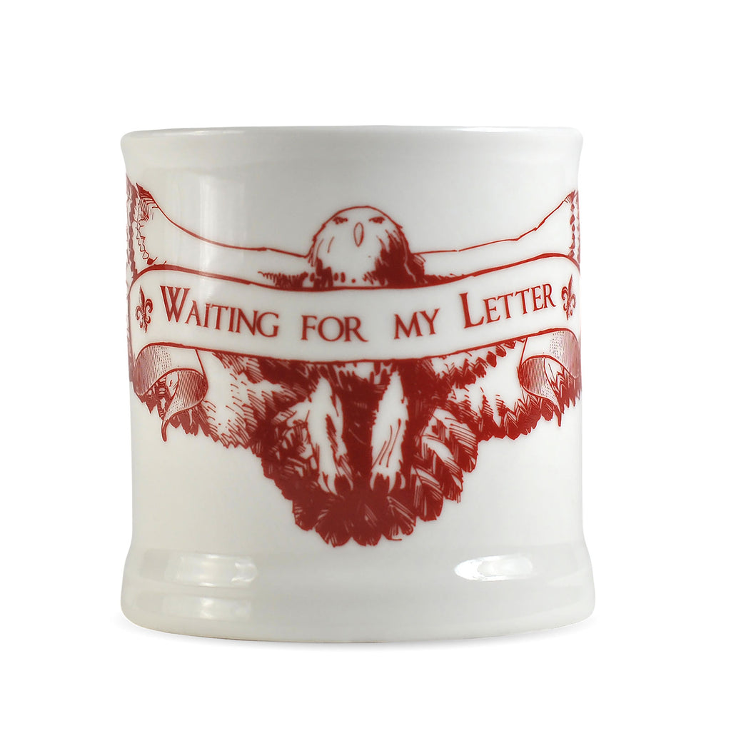 Imagen del producto Harry Potter - Esperando Mi Carta Taza