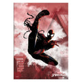 Imagen del producto Póster de metal de Spider-Man