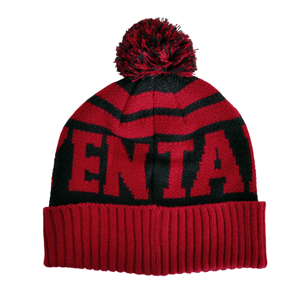 Imagen del producto Juego de Tronos - Gorro Targaryen