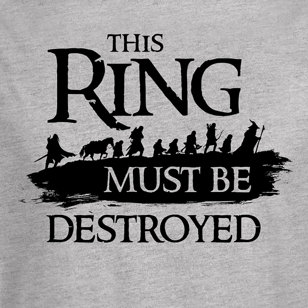 Imagen del producto El Señor de los Anillos - Camiseta de los Compañeros gris