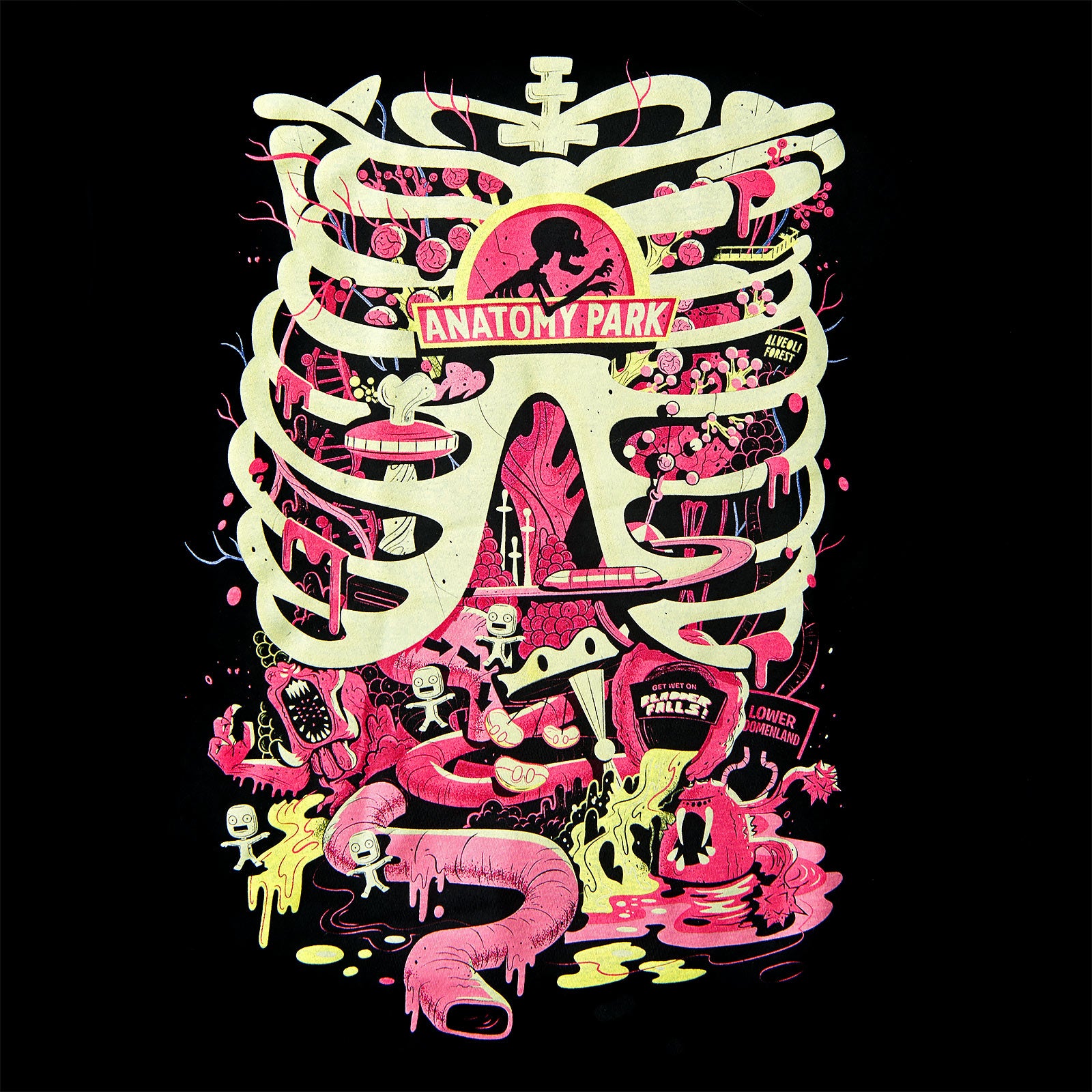 Imagen del producto Rick y Morty - Camiseta negra de Anatomy Park