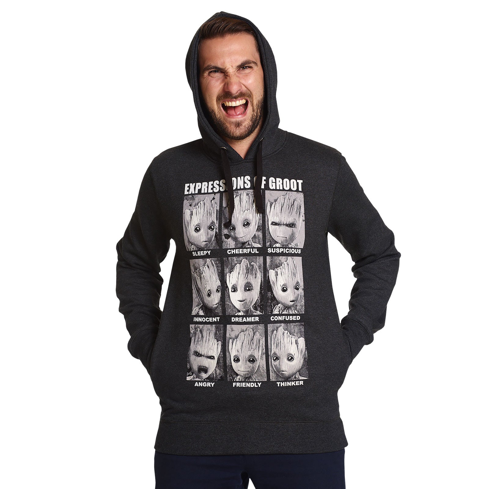 Imagen del producto Guardians of the Galaxy - Sudadera con capucha Groot Expressions gris
