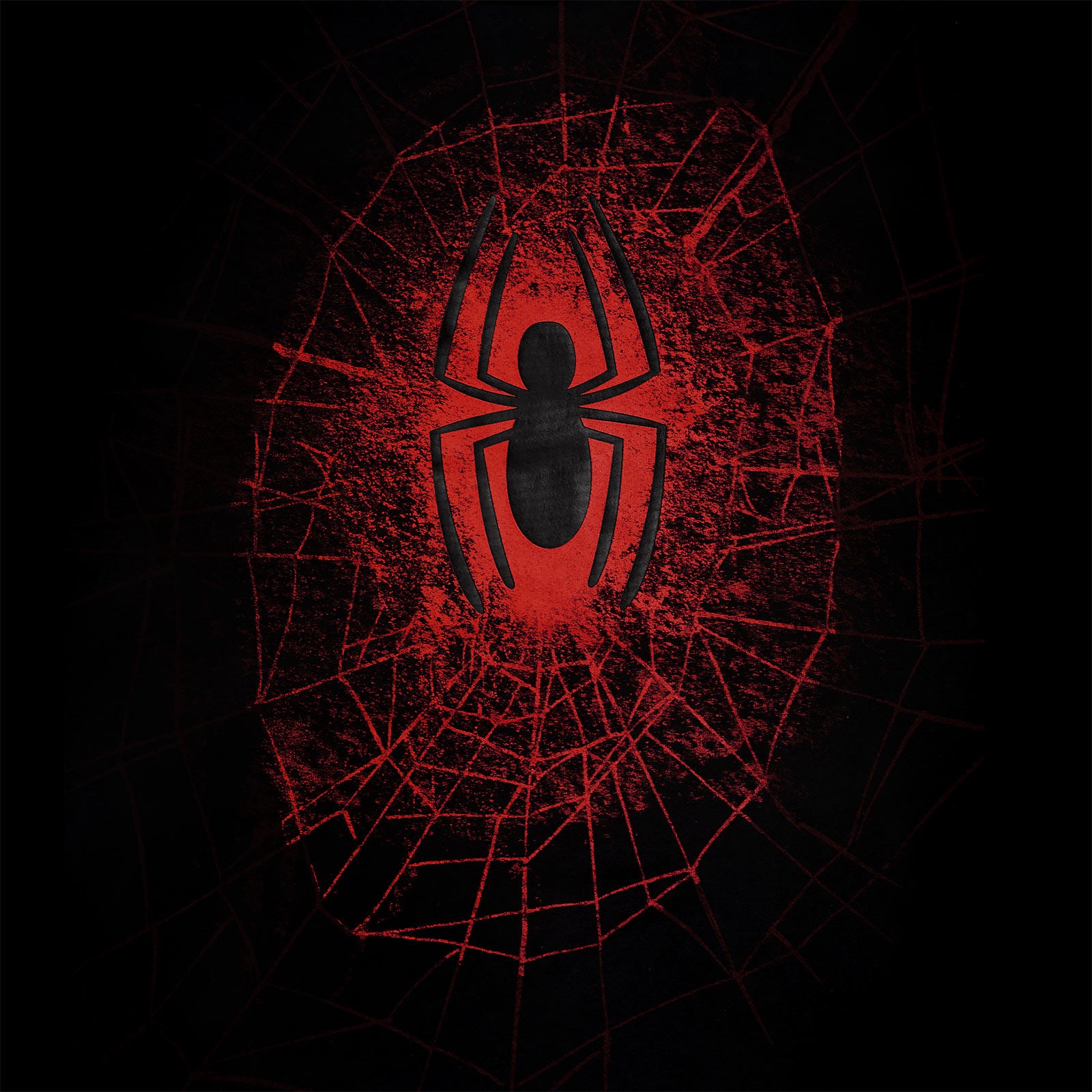 Product image Spider-Man - Spider Web T-Shirt black