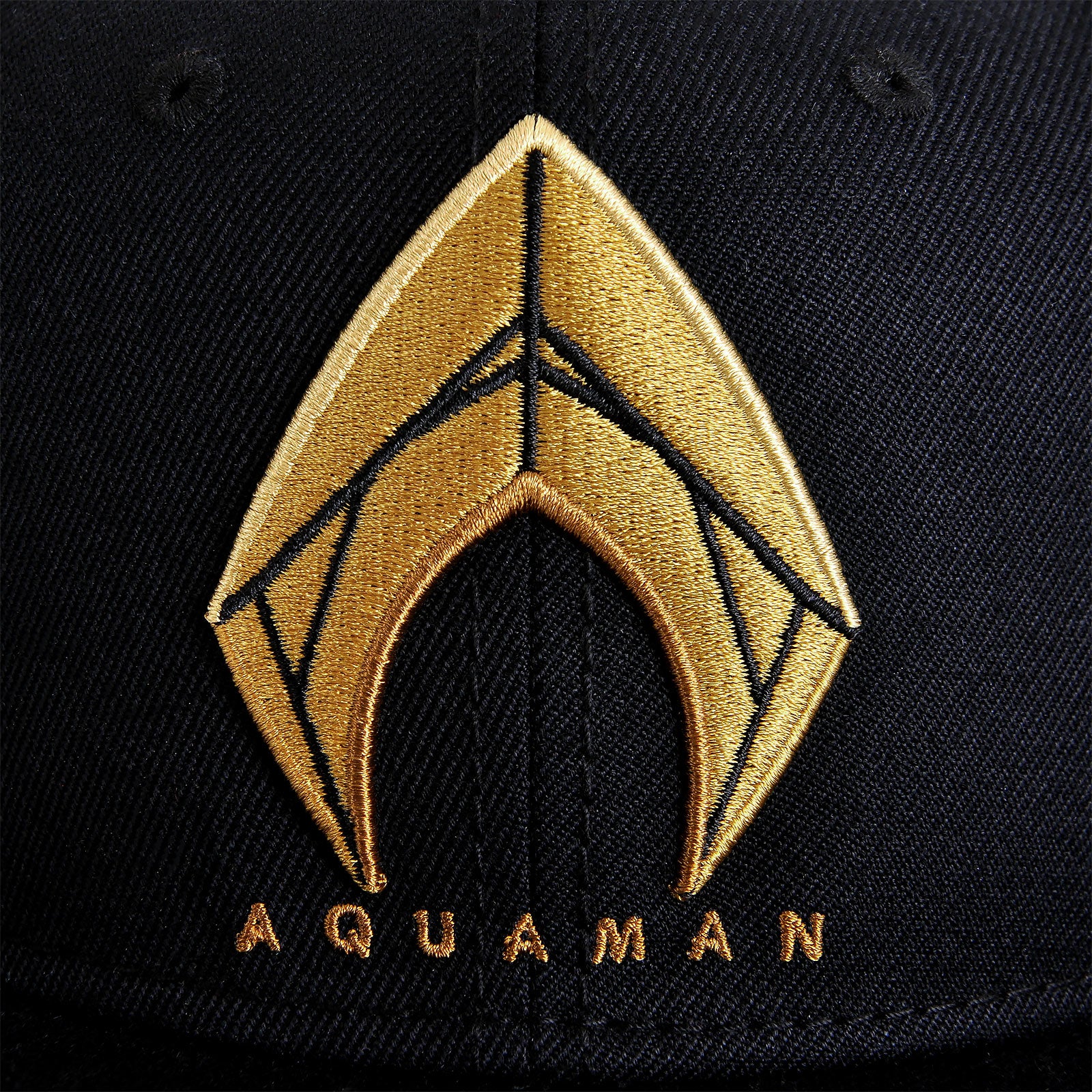 Imagen del producto Gorra Snapback Logo de Aquaman - Justice League