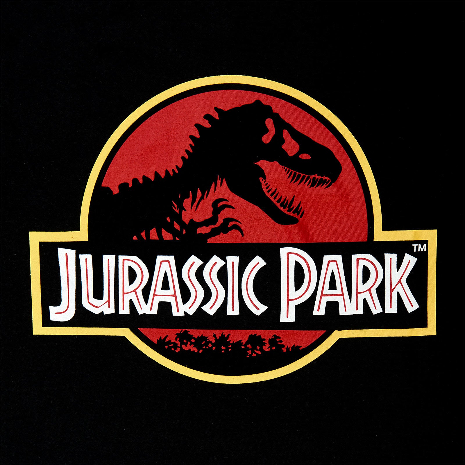 Imagen del producto Jurassic Park - Camiseta con logo negra