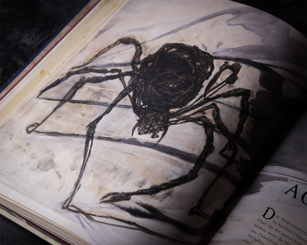 Imagen del producto Animales fantásticos y dónde encontrarlos - Edición de lujo