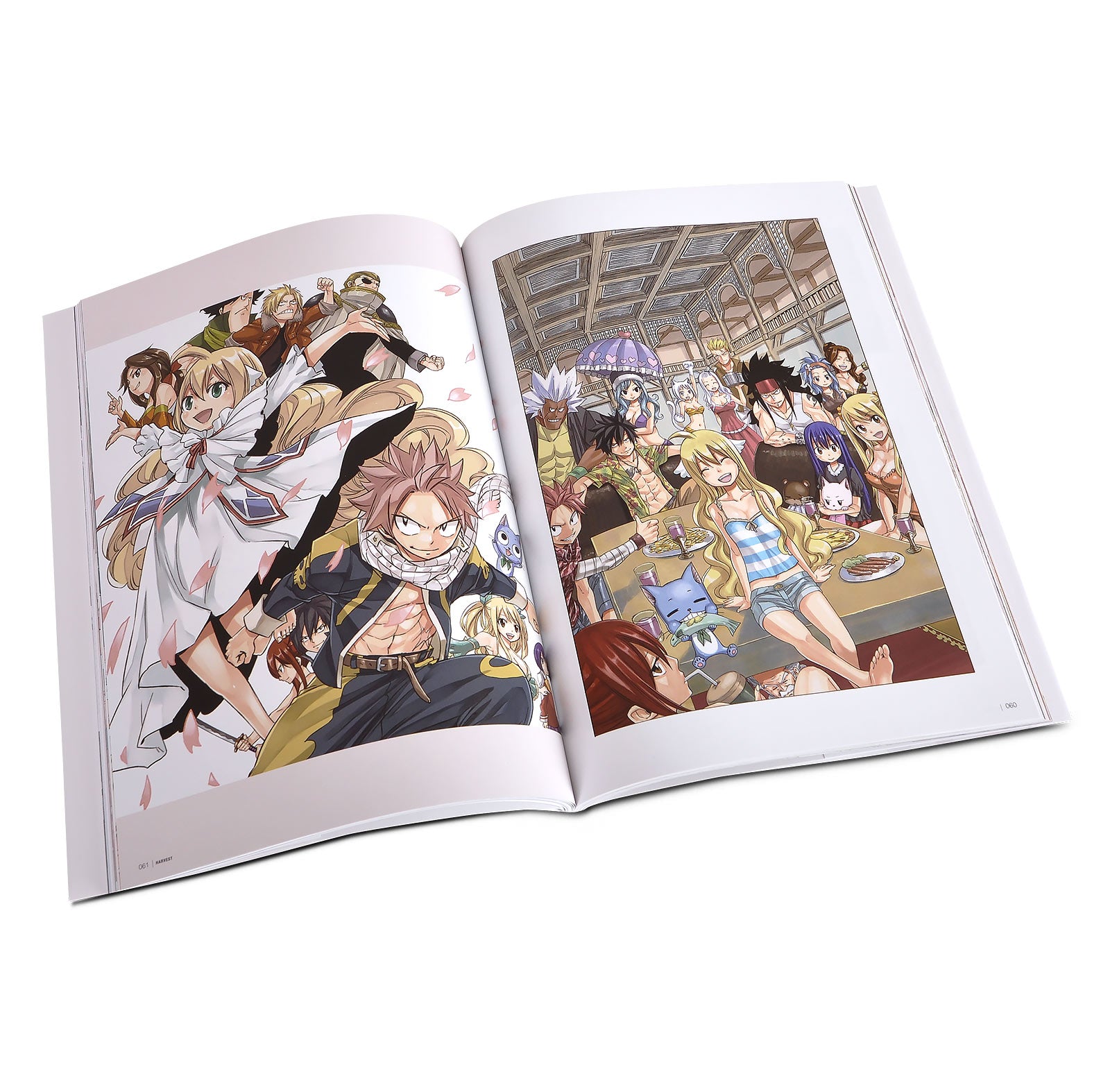Imagen del producto Fairy Tail - Harvest Artwork