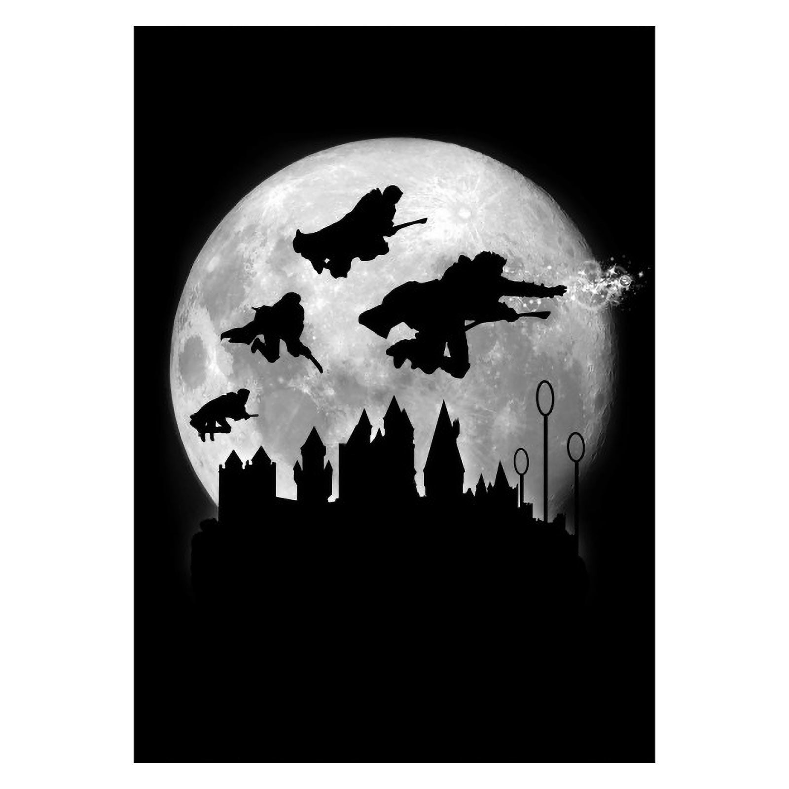 Imagen del producto Póster de metal Magic Flight at Night para fans de Harry Potter