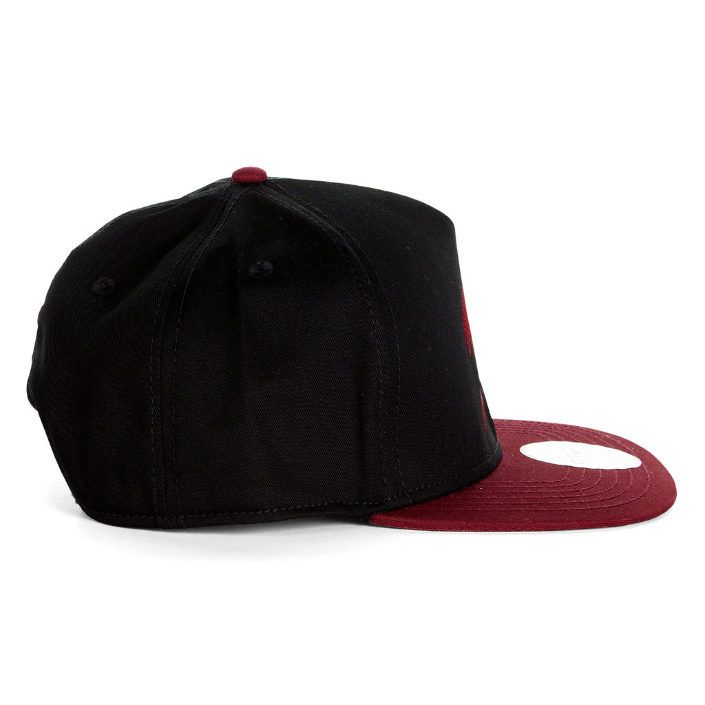 Imagen del producto Fairy Tail - Gorra Snapback de Natsu