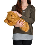 Imagen del producto Harry Potter - Figura de peluche de Crookshanks de 43 cm
