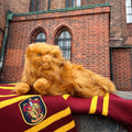 Imagen del producto Harry Potter - Figura de peluche de Crookshanks de 43 cm