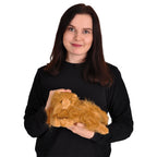 Imagen del producto Harry Potter - Figura de peluche Crookshanks de 25 cm