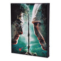 Imagen del producto Harry Potter - Harry vs. Voldemort Cuadro con luz