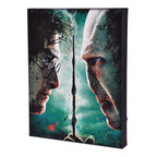 Imagen del producto Harry Potter - Harry vs. Voldemort Cuadro con luz