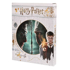 Imagen del producto Harry Potter - Harry vs. Voldemort Cuadro con luz