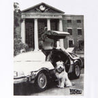 Imagen del producto Regreso al Futuro - Camiseta blanca de Einstein con DeLorean