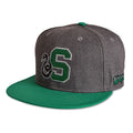 Imagen del producto Harry Potter - Gorra Snapback de Quidditch Slytherin