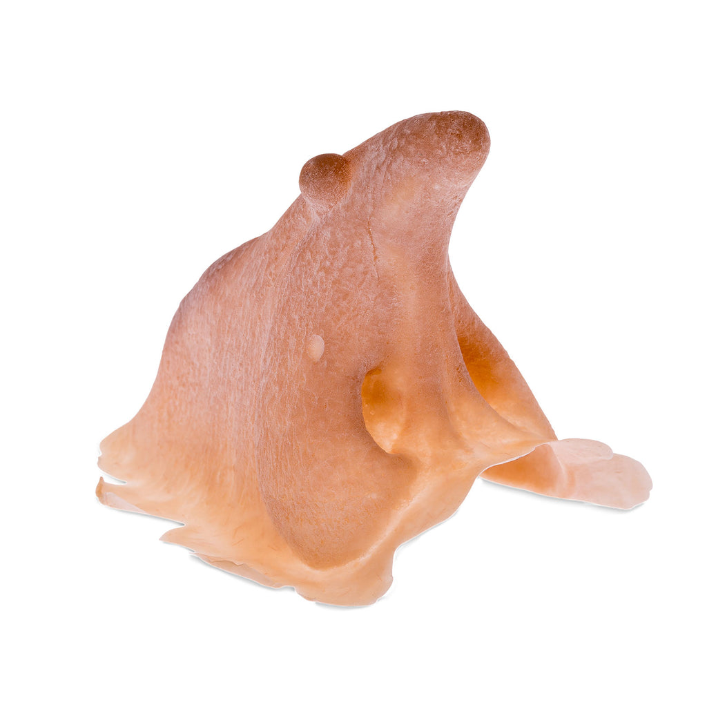 Imagen del producto Nariz de bruja de látex